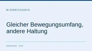Gleicher Bewegungsumfang, andere Haltung: was Spitzen-Schwimmer im Unterwasser-Delfin anders machen